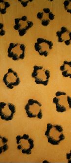 Picture of Banner Leopard Print  6m x 3m
