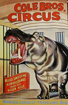 Picture of Poster Coles Bros Circus 3m x 2m