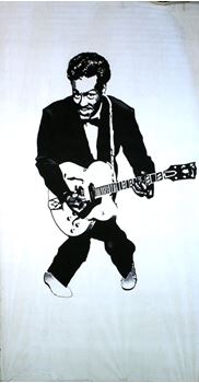 Picture of Banner Chuck Berry 6m x 3m