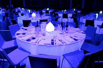 Picture of LED Teardrop Centrepiece 