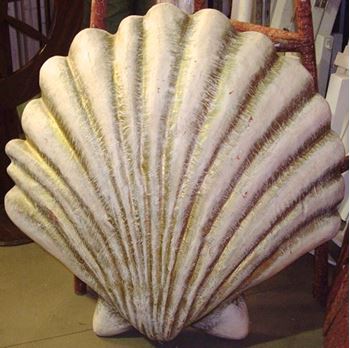 Picture of Clam Shell - 