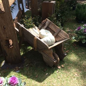 Picture of Wheelbarrow- Rustic Wooden