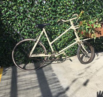 Picture of Bicycle -vintage - with box