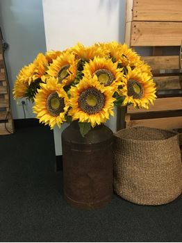 Picture of Sunflowers in Milk churn