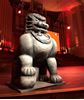 Picture of Asian Temple Dog - Foo