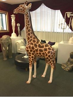 Picture of Giraffe - Baby