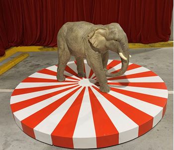 Picture of Circus Themed stage 2.4m round  