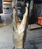 Picture of Crocodile head -  moving jaws