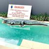 Picture of Crocodile - fibreglass