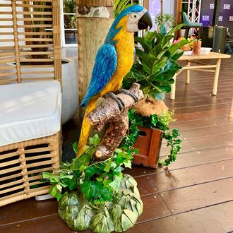 Picture of Parrot on Stand