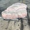 Picture of Foam Rocks - various sizes from small to large at  3.0m H  