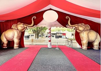 Picture of Elephant - Arch Entrance