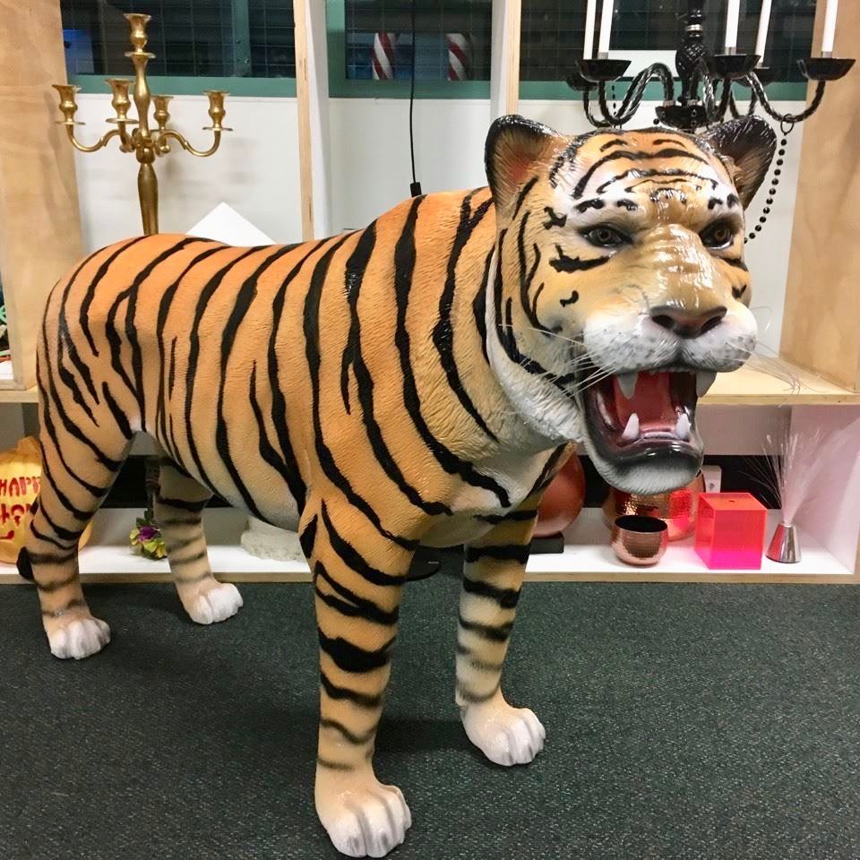 Staging Dimensions , Brisbane Prop Hire, Brisbane Event Theme, Brisbane Inflatable Hire. tiger-animal-statue-prop-rental-hire Staging Dimensions , Brisbane Prop Hire, Brisbane Event Theme, Brisbane Inflatable Hire. tiger-animal-statue-prop-rental-hire