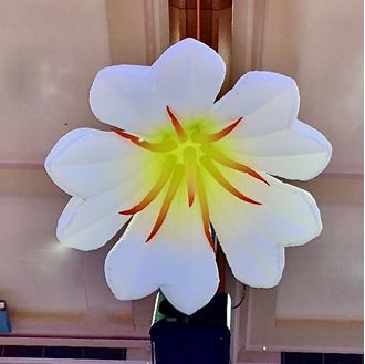 Picture of Inflatable Flower - White 2m Wide