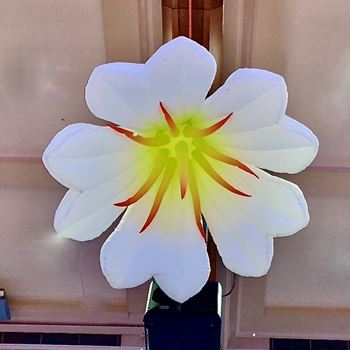 Picture of Inflatable Flower - White 2m Wide