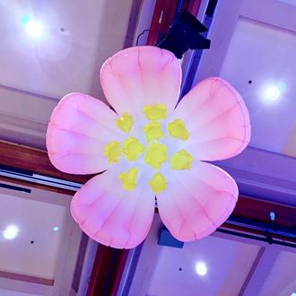 Picture of Inflatable Flower - Pink/ yellow stamen- 2m  Wide
