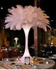 Picture of Ostrich Feather table centrepiece