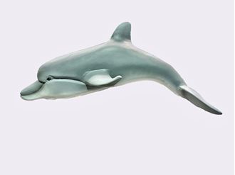 Picture of Dolphin