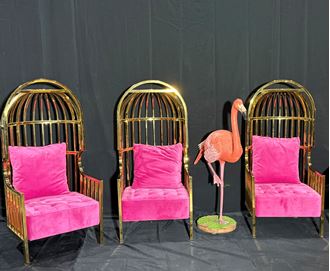 Picture of Pink and gold cage chair