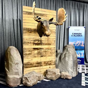 Picture of Moose Head Wall mount - fibreglass replica