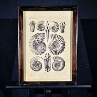 Picture of S29 - 37cm W x 50cm H