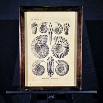 Picture of S29 - 37cm W x 50cm H