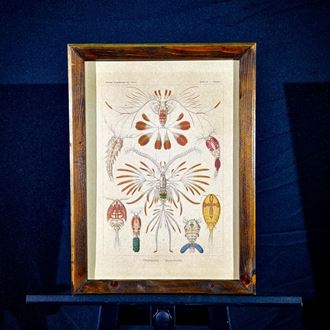 Picture of  S32- 37cm W x 50cm H