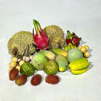 Picture of Artificial Fruits