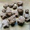Picture of Foam Rocks - various sizes from small to large at  3.0m H  