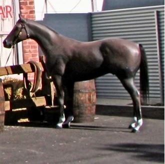 Picture of Horse  