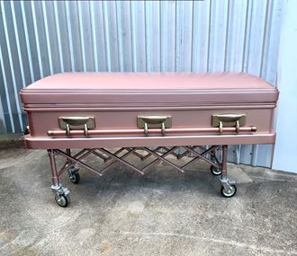 Picture of Coffin Deluxe on Trolley