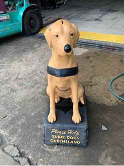 Picture of Guide Dogs Queensland Donation Box